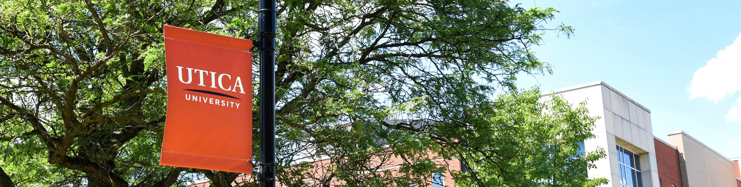 Utica University Banner